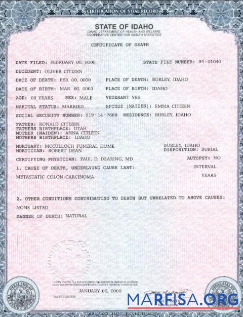 Realistic USA state Idaho death certificate template in PSD format